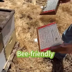 Newyuo™ TagCure Bee Venom Cream