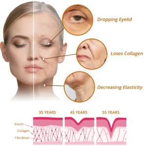 Newyuo™ Cordyceps Firming Repair Serum