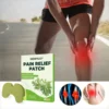 Newyuo® Pain Relief Patch